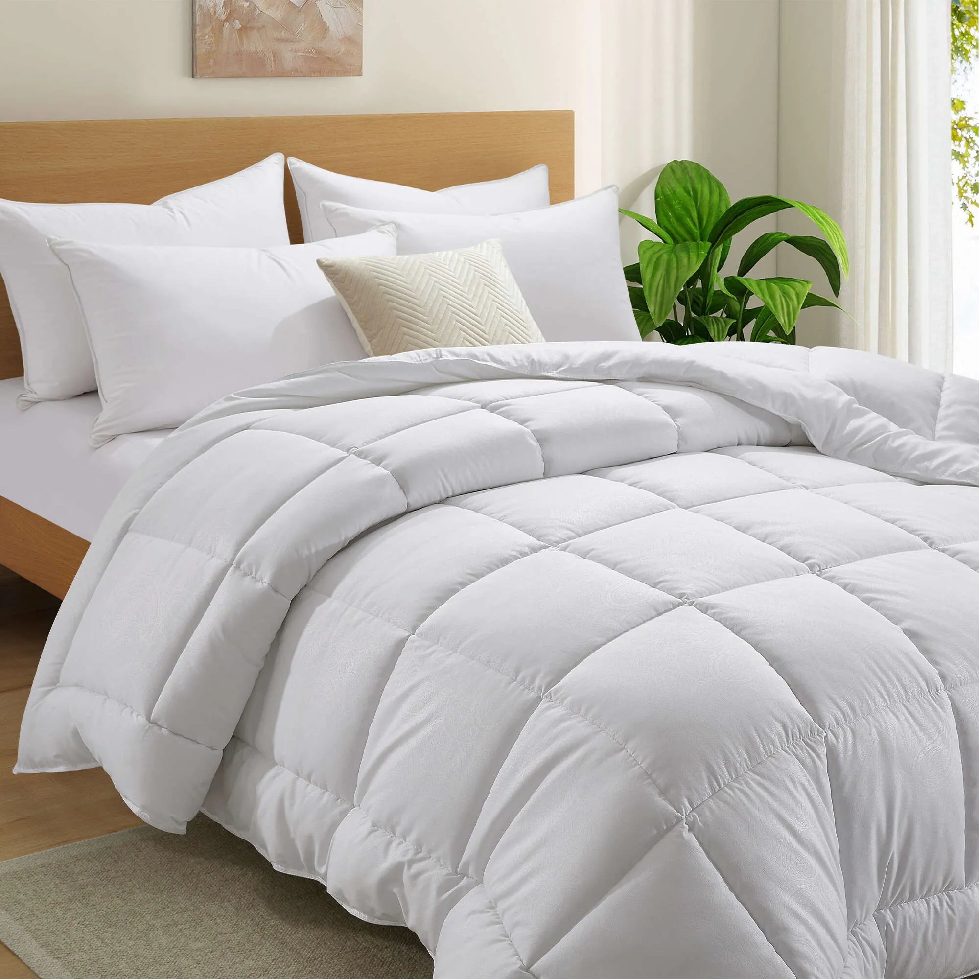 Comforter & Bed Spread