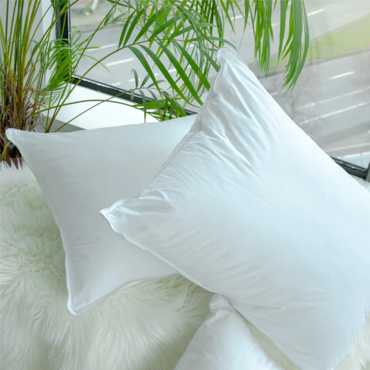 Vacuumed Packed Pillow Filling - Pack of 2
